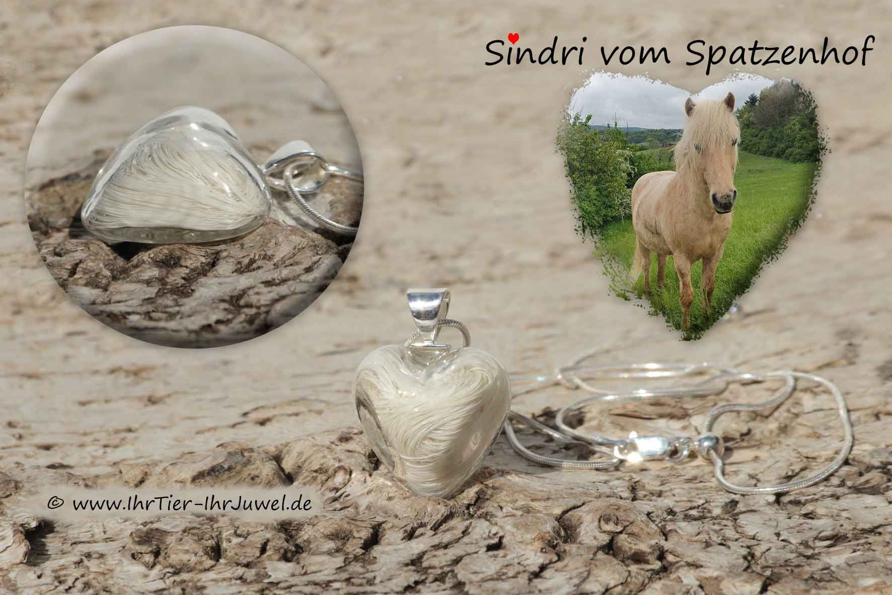 Schmuck aus Pferdehaaren Glasherz Kette Mähnenhaar