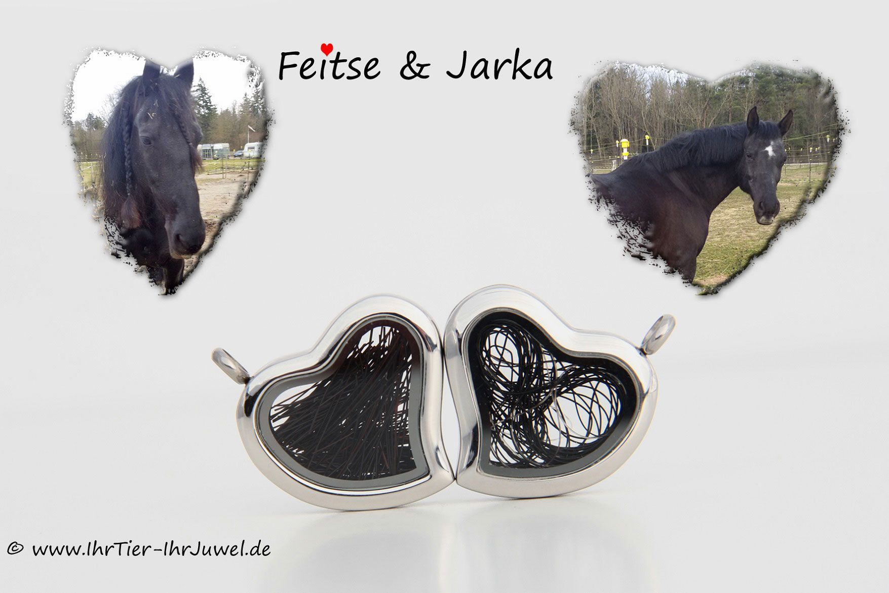 Schmuck aus Pferdehaaren Herzmedaillon Freundschaftsschmuck