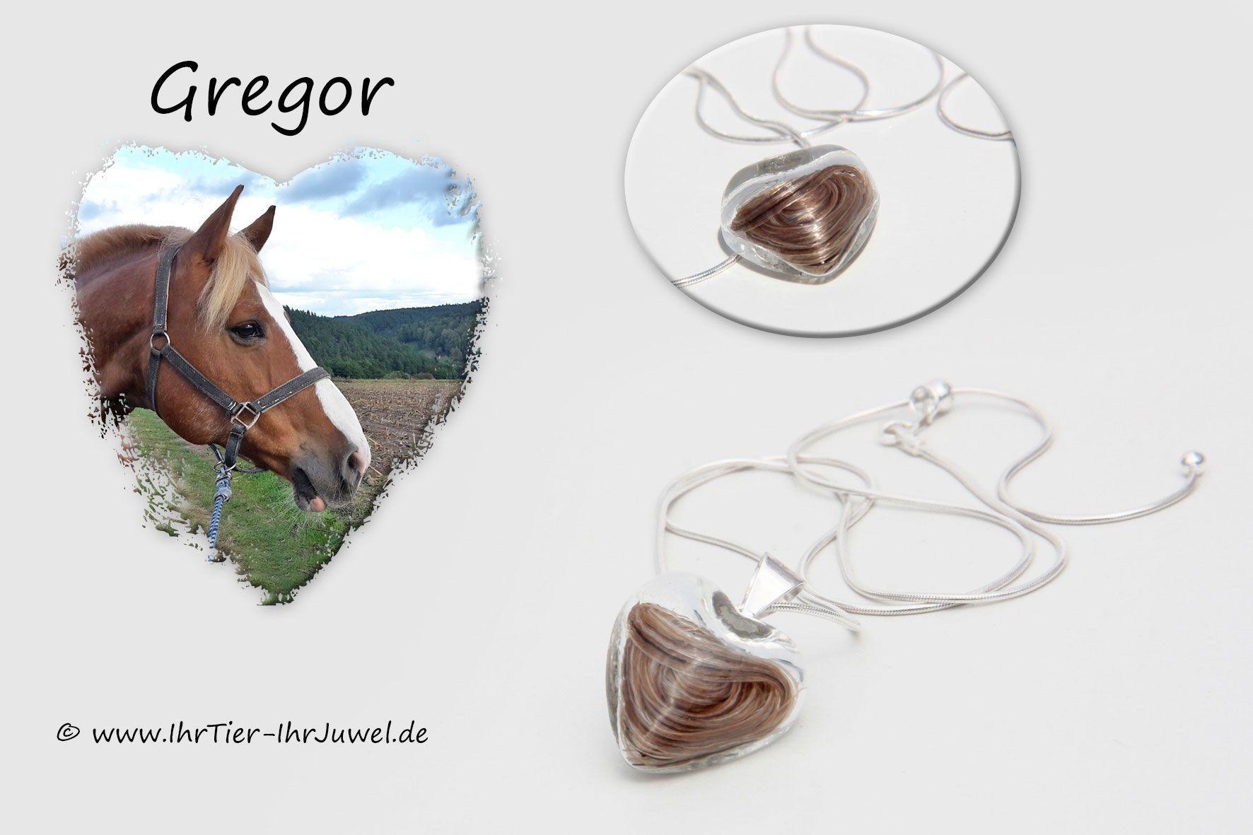 Schmuck aus Pferdehaaren Kette mit Schweifhaar