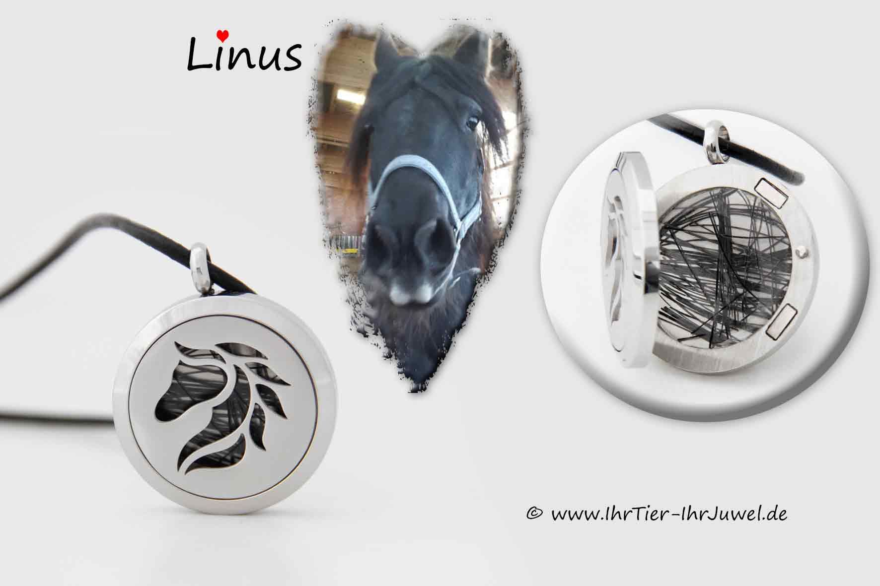 Schmuck aus Pferdehaaren Medaillon Pferdemotiv Pferdehaarschmuck