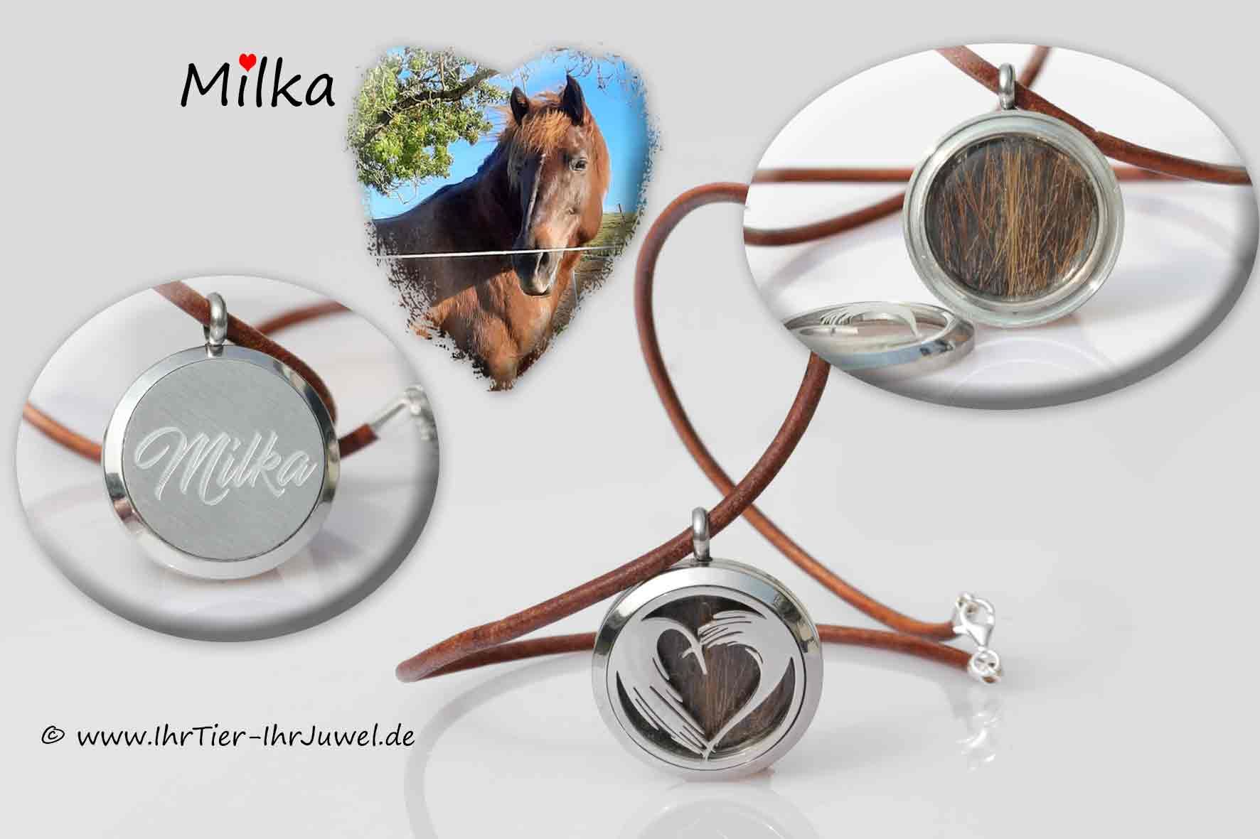 Schmuck aus Pferdehaaren Medaillon mit Gravur