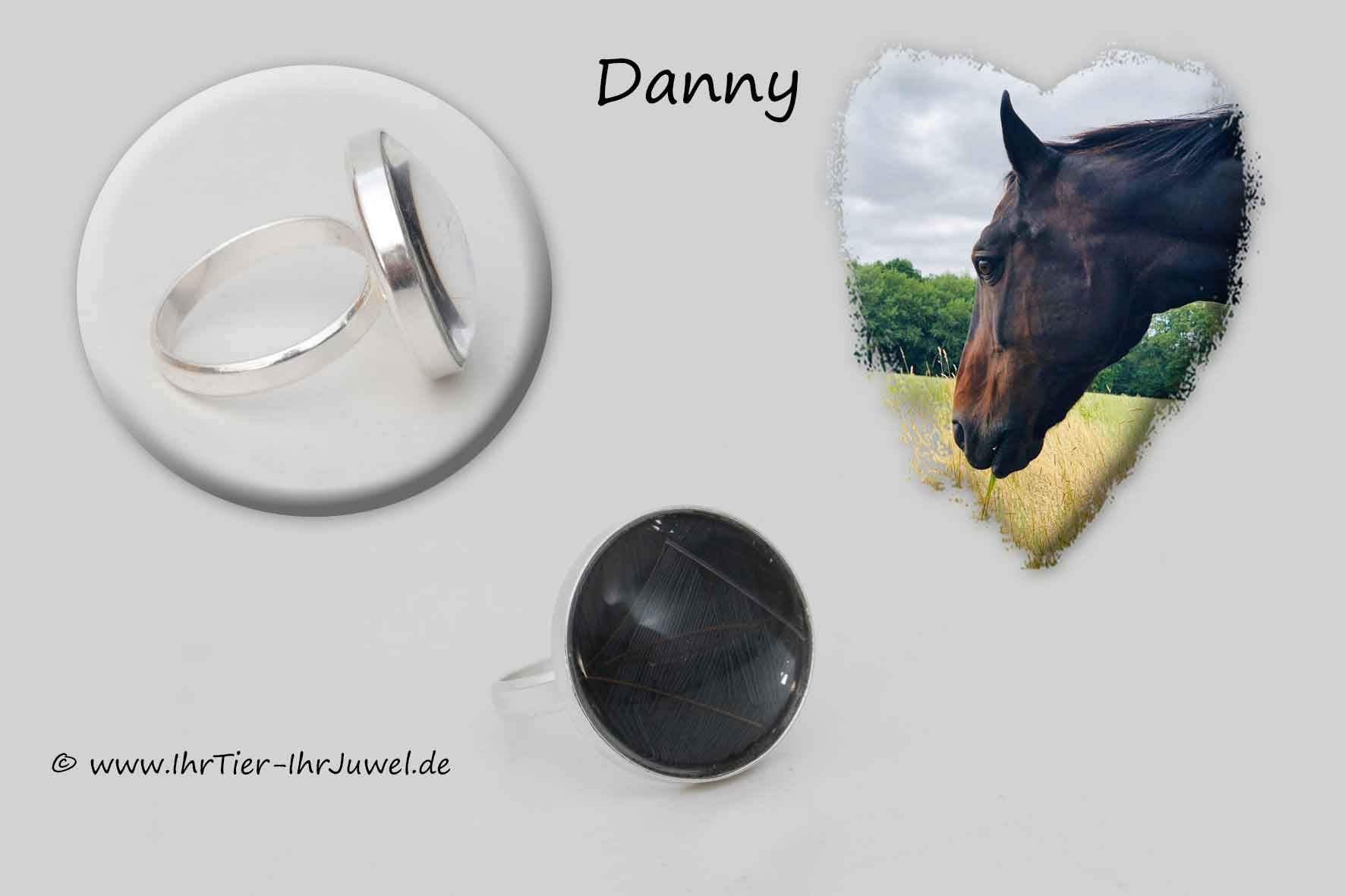 Schmuck aus Pferdehaaren Ring mit Pferdehaar