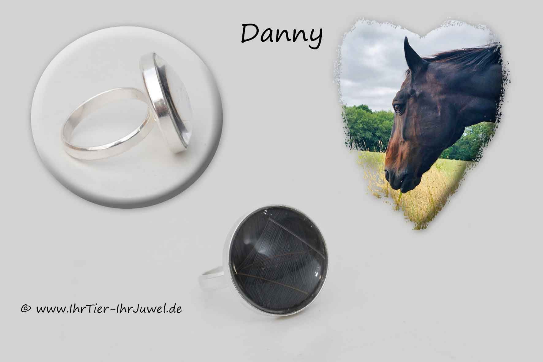 Schmuck aus Pferdehaaren Ring mit Pferdehaar