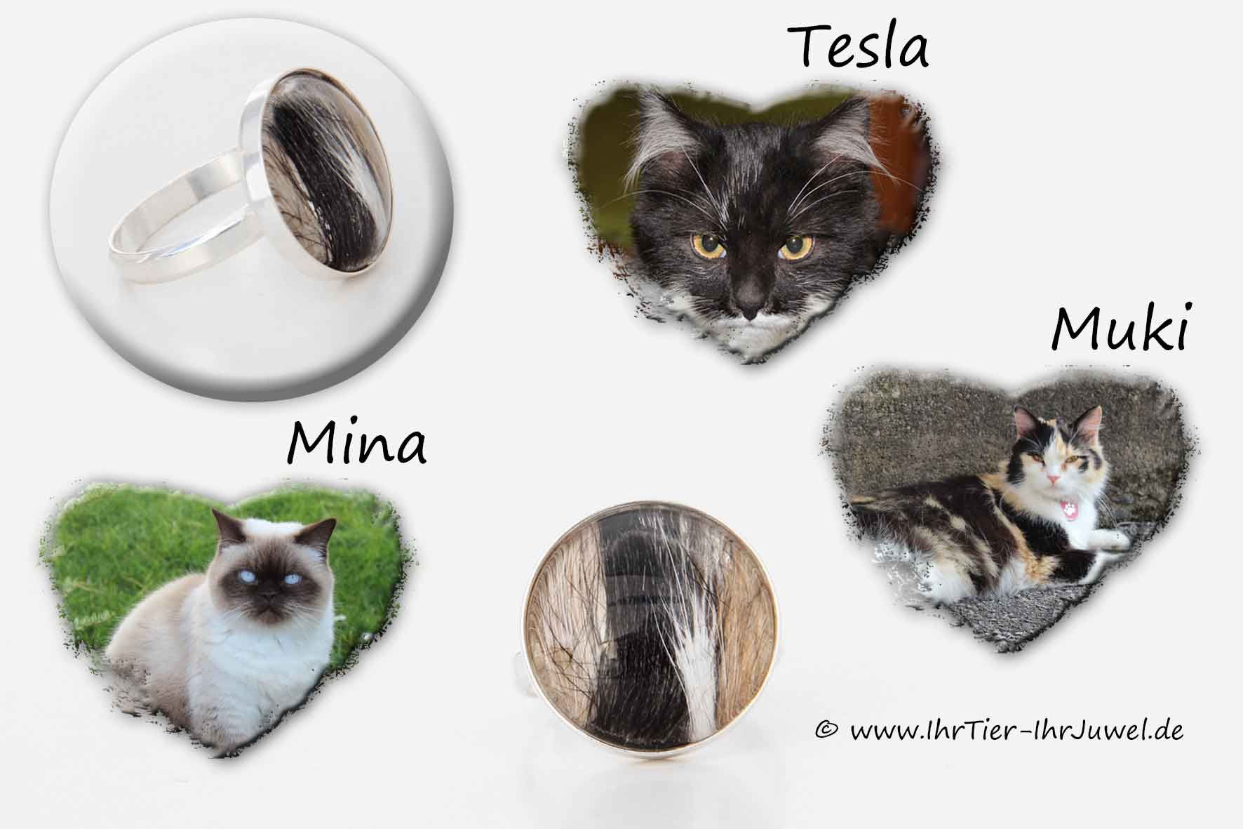 Schmuck aus Tierhaar Ring mit Katzenhaaren