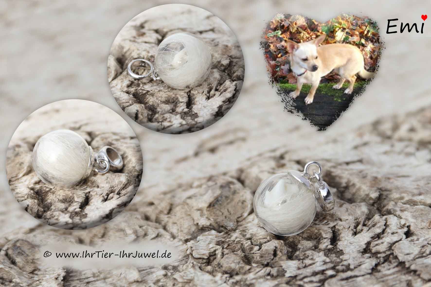 Schmuck aus Tierhaaren Hundezahn als Anhänger