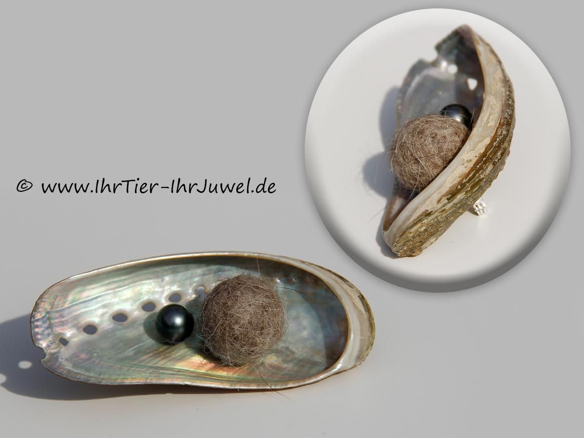 Schmuck aus Tierhaaren Brosche mit Muscheln