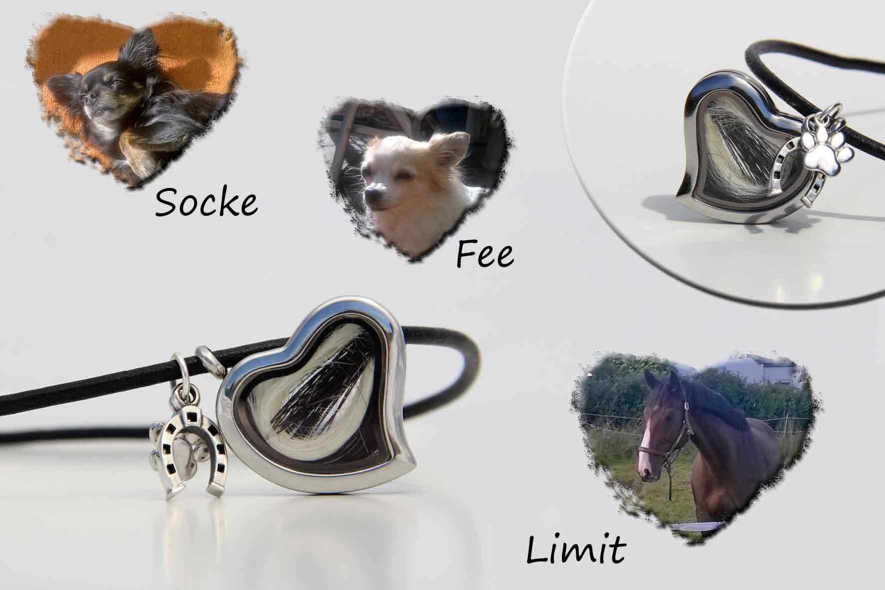 Schmuck aus Tierhaaren Herzmedaillon Hund und Pferd