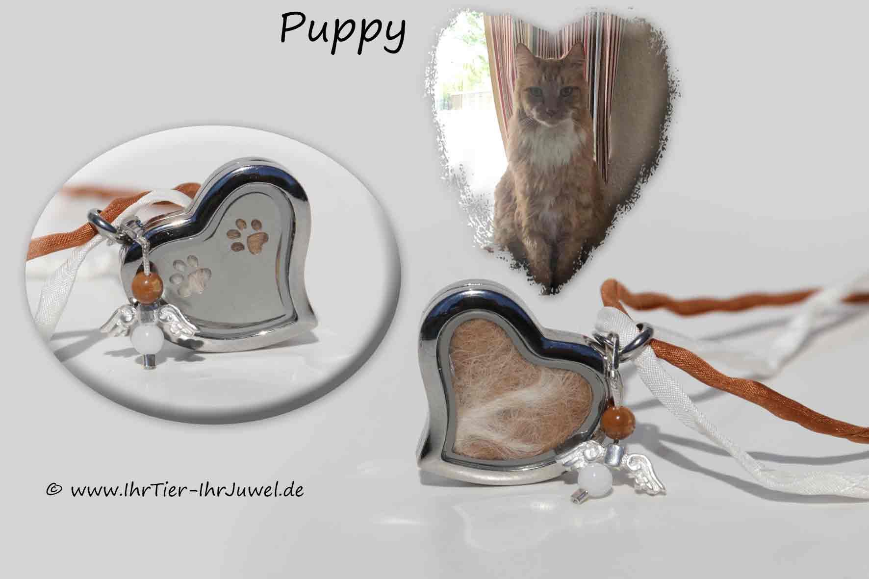 Schmuck aus Tierhaaren Herzmedaillon mit Schutzengel
