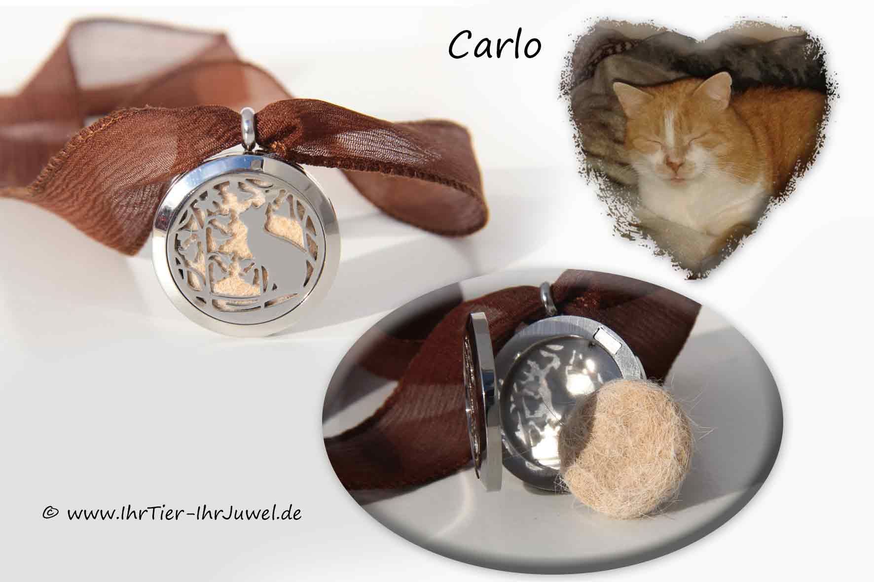 Schmuck aus Tierhaaren Medaillon geliebte Katze