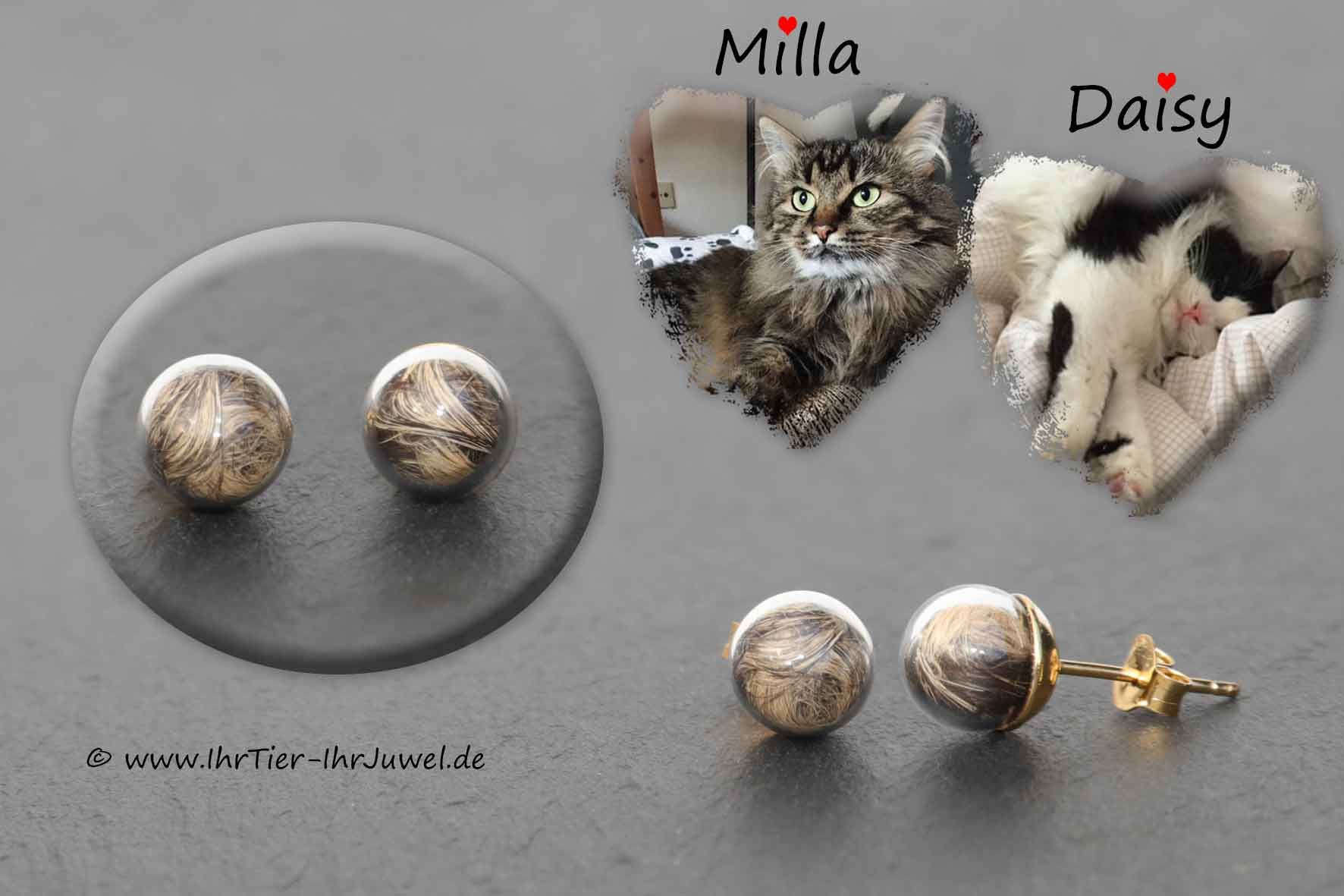 Schmuck aus Tierhaaren Ohrringe mit Tierhaar