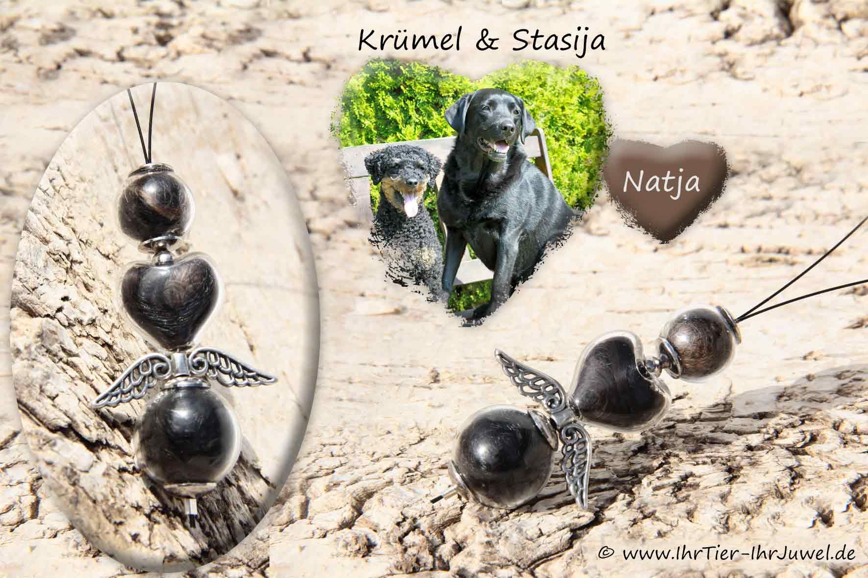 Erinnerung an verstorbenes Tier Kette Hundehaare