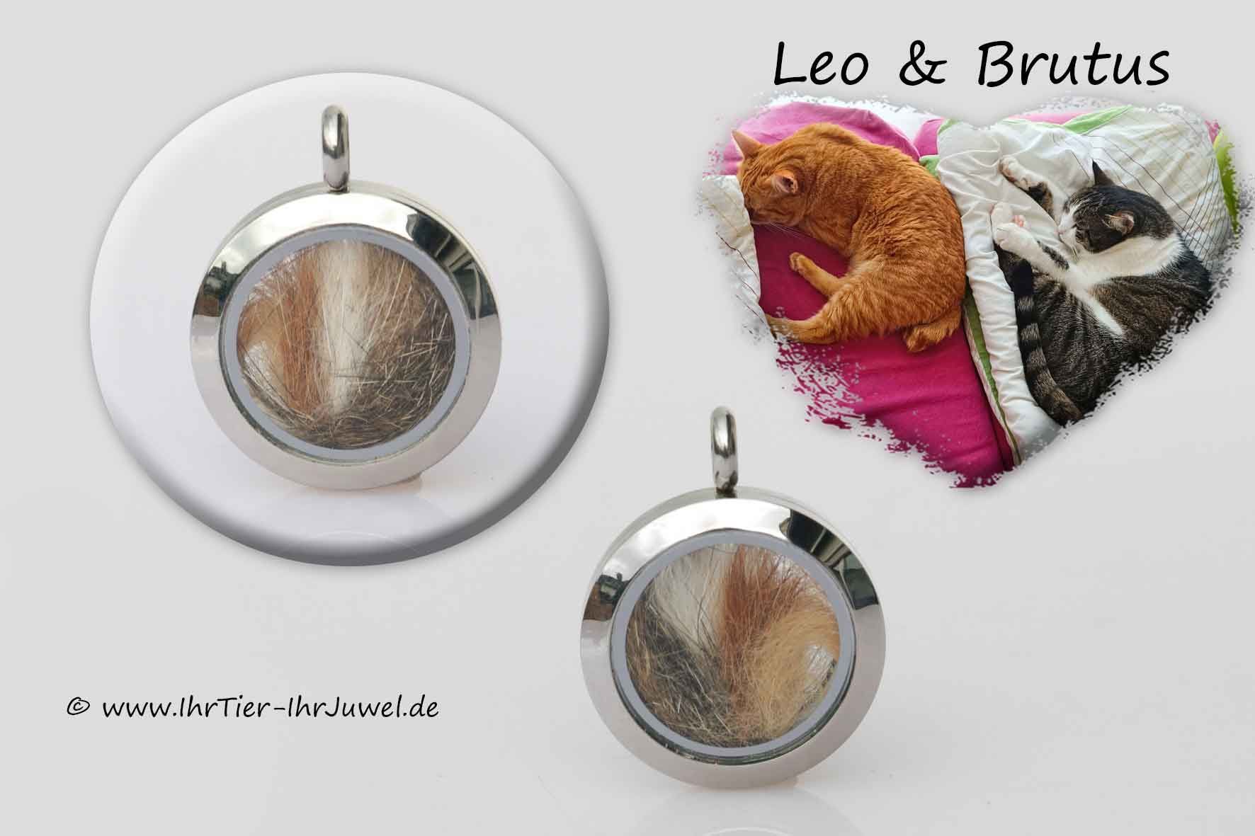 Schmuck aus Tierhaaren geliebte Katze Fellandenken