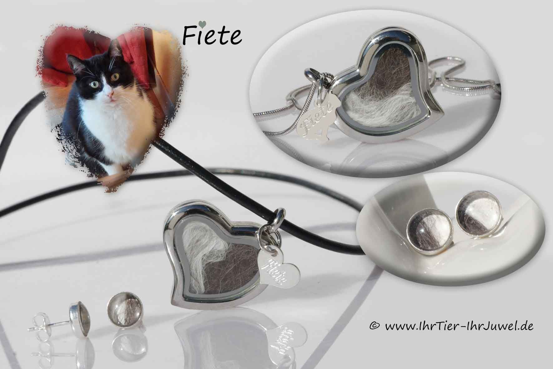 Schmuck aus Tierhaaren geliebte Katze Gravurschmuck