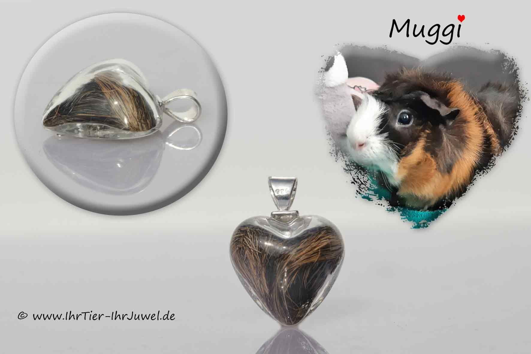 Schmuck aus Tierhaaren geliebtes Meerschweinchen Herzschmuck