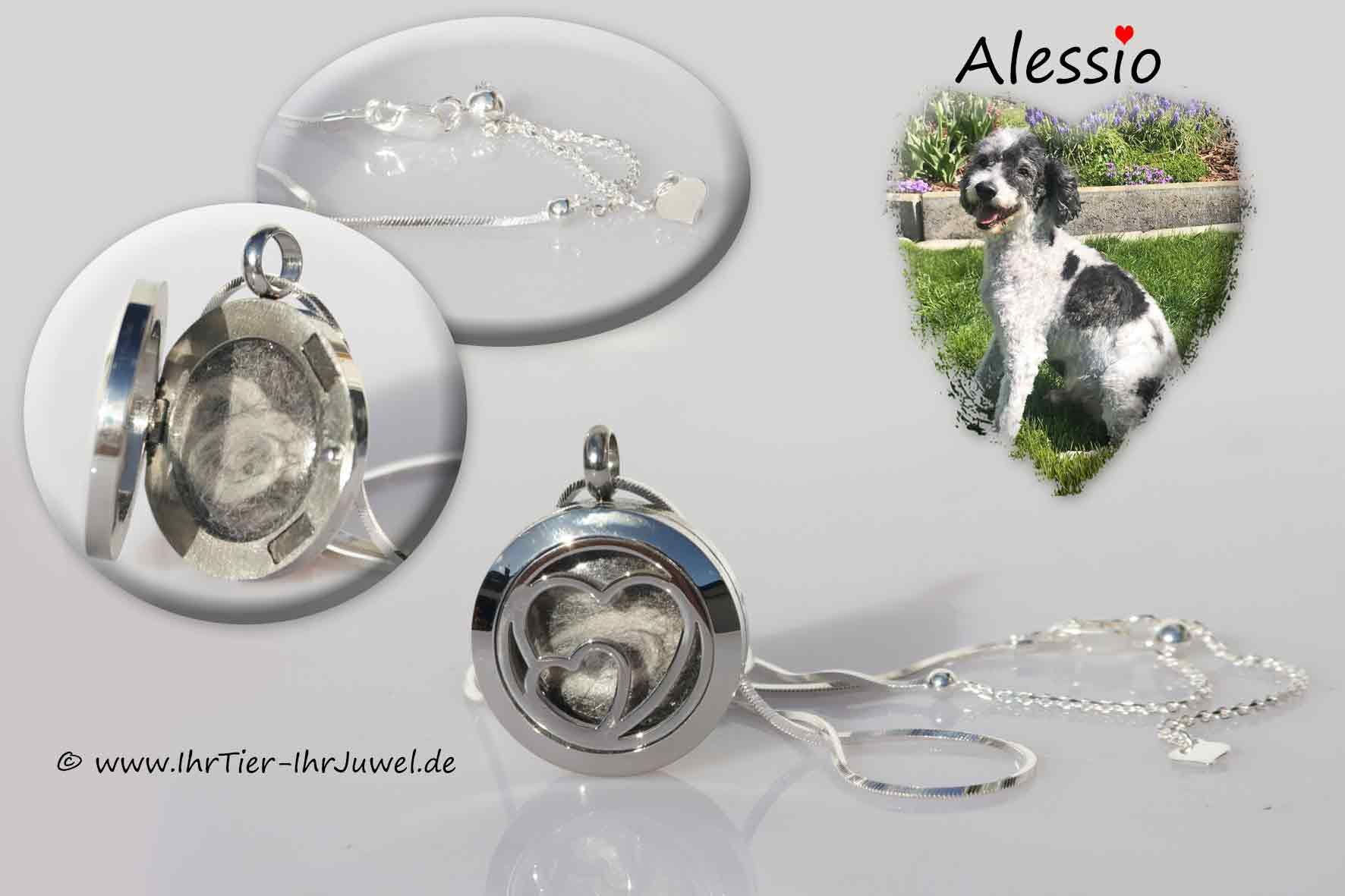 Schmuck aus Tierharen Medaillon mit Hundehaaren