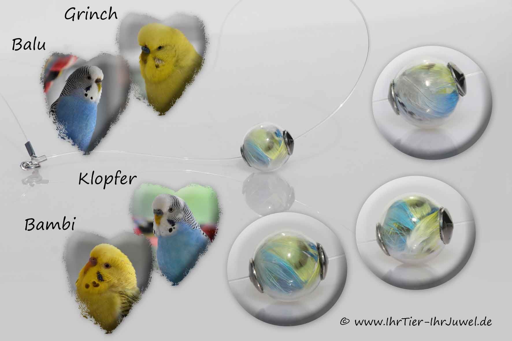 Schmuck aus Vogelfedern Hochzeitsschmuck geliebter Wellensittich