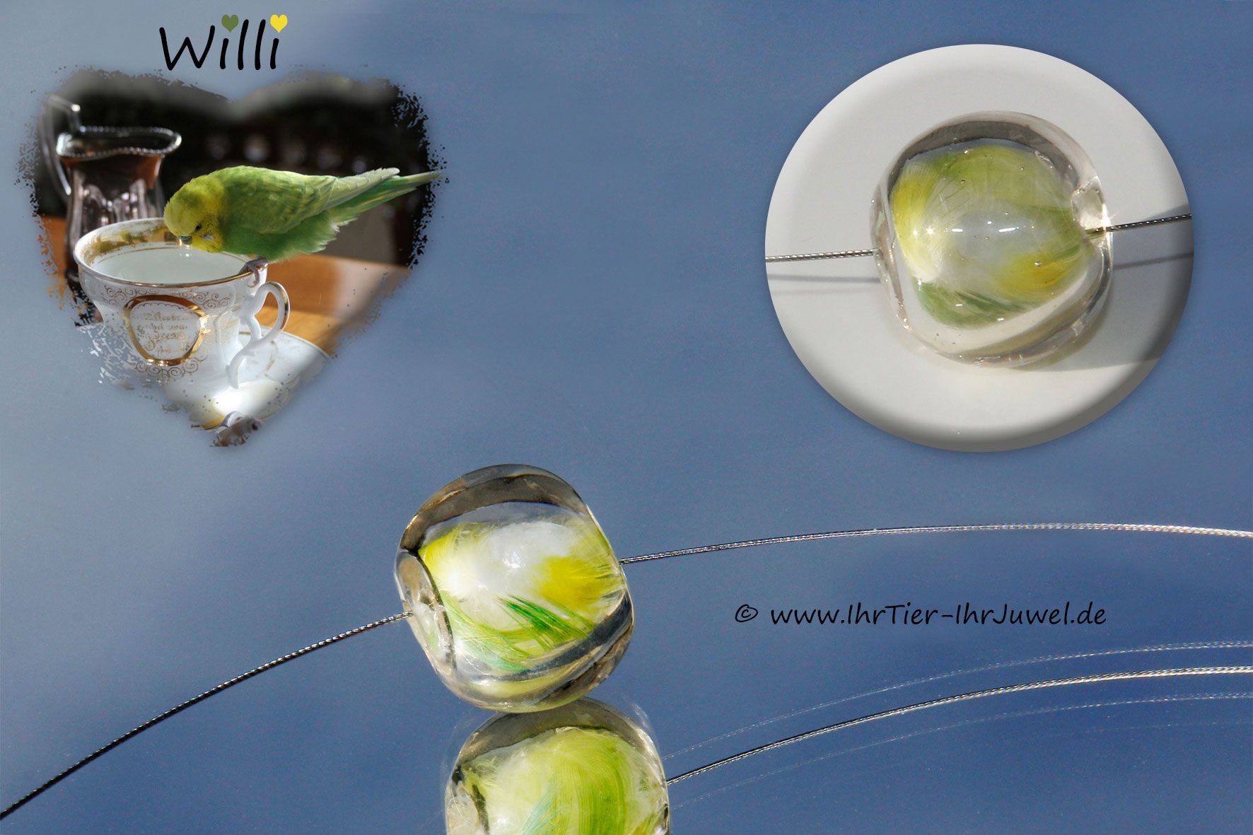 Schmuck für Tierliebhaber Federnschmuck Erinnerungsschmuck Vogelfreund