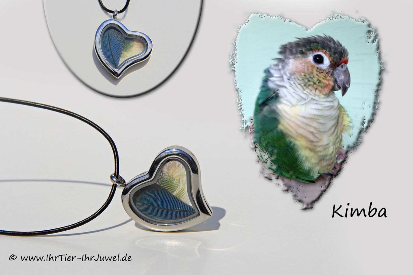 Schmuck mit Federn Herzmedaillon geliebter Papagei