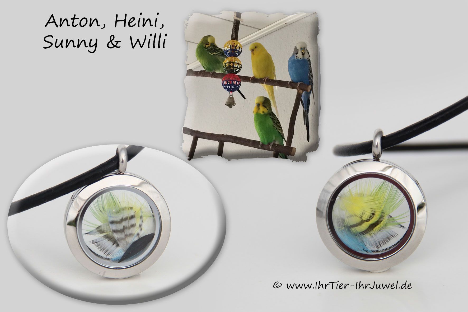 Schmuck mit Federn Wellensittich Schmuckmedaillon Federnschmuck