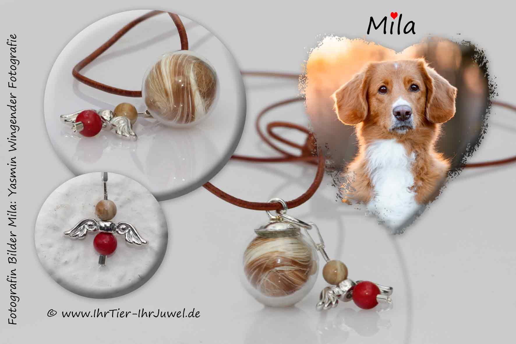 Schmuck mit Hundehaar Schutzengel geliebter Hund
