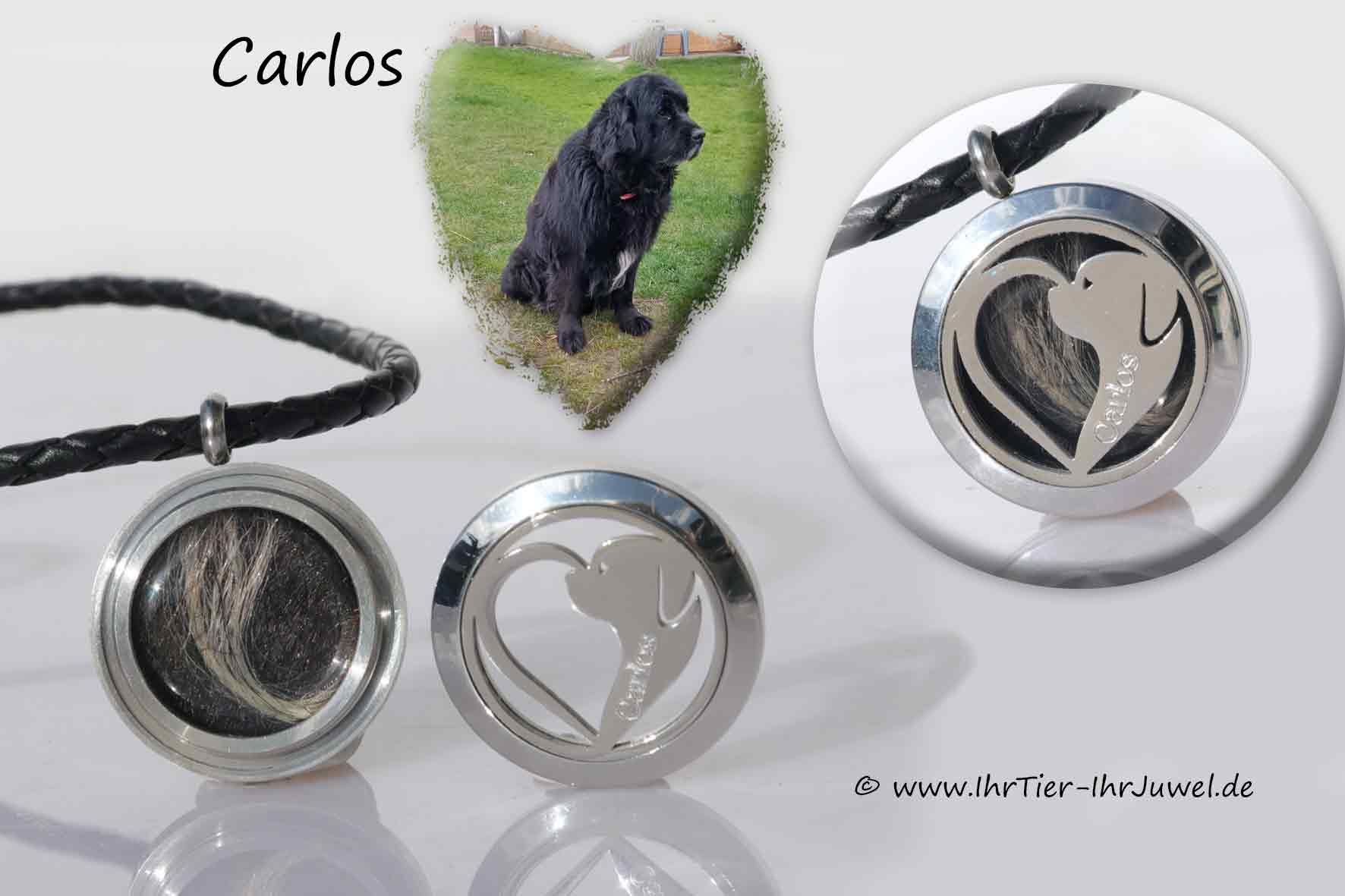 Schmuck mit Hundehaaren Medaillon Gravurschmuck Tierhaarschmuck