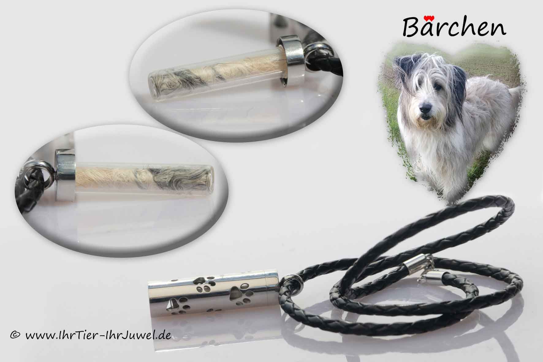 Schmuck mit Hundehaaren Medaillon mit Pfoten