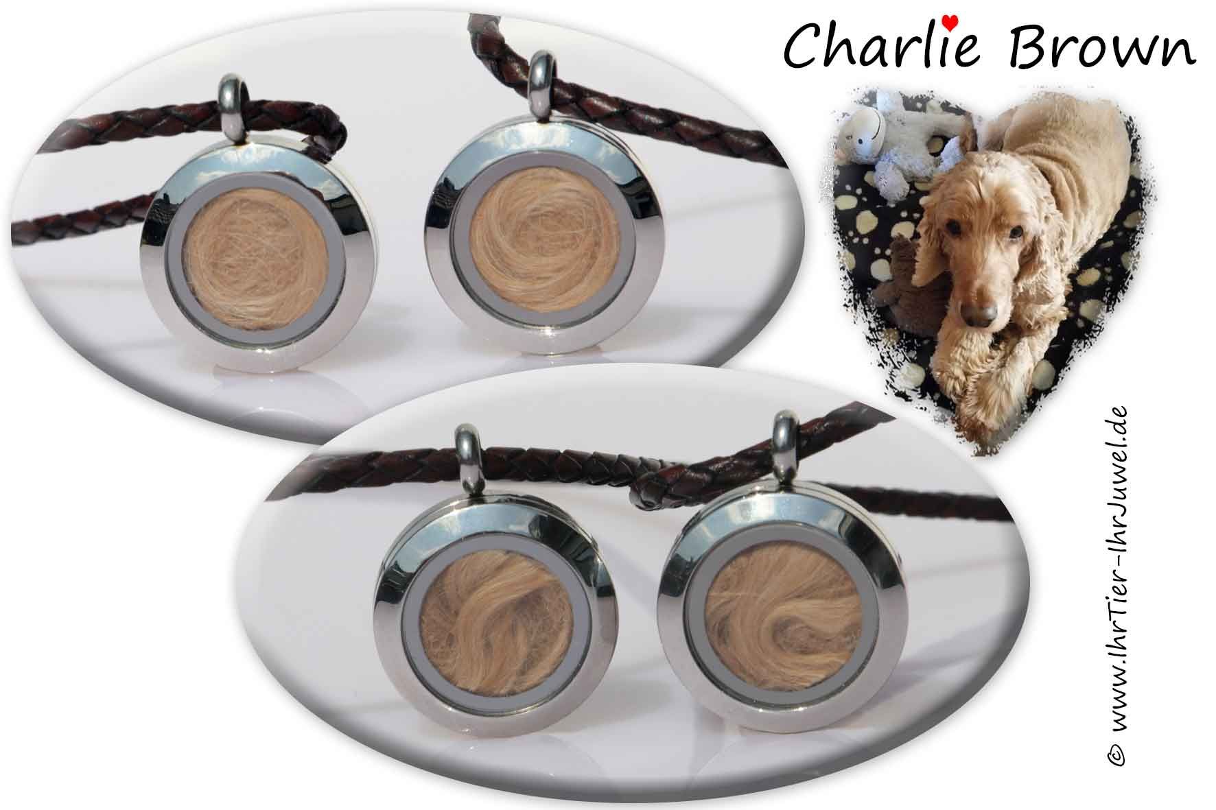 Schmuck mit Hundehaaren Medaillons Tierhaaren Fellandenken