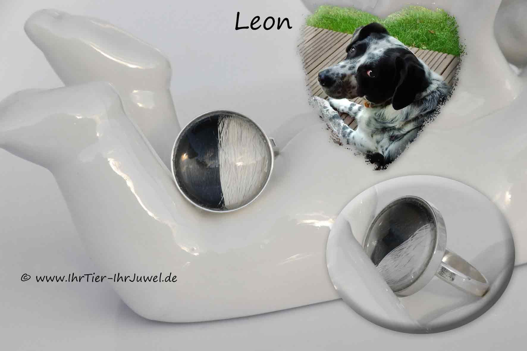 Schmuck mit Hundehaaren Ring geliebter Hund