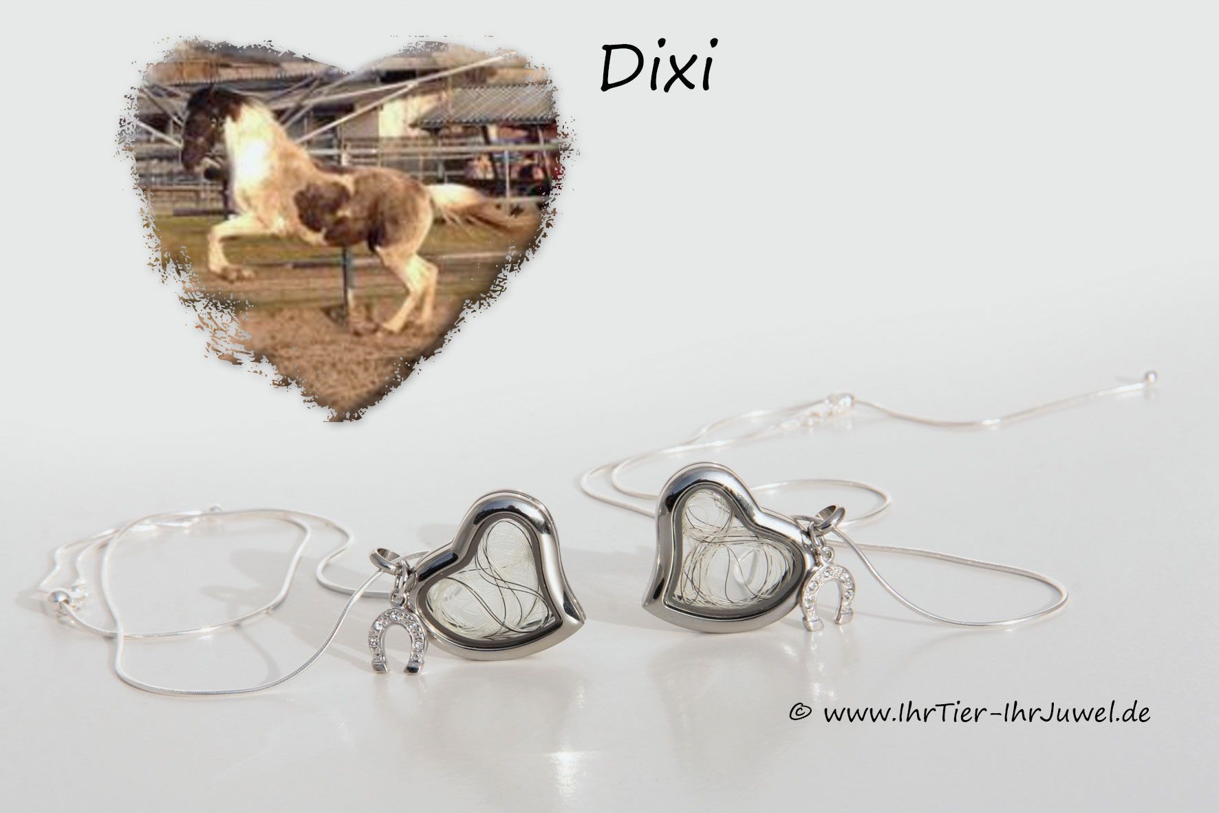 Schmuck mit Pferdehaaren Erinnerungsschmuck Herzmedaillon Gedenkschmuck