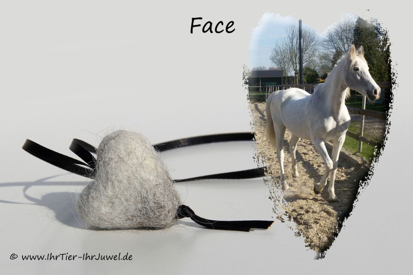 Schmuck mit Pferdehaaren Fellherz aus Pferdehaar