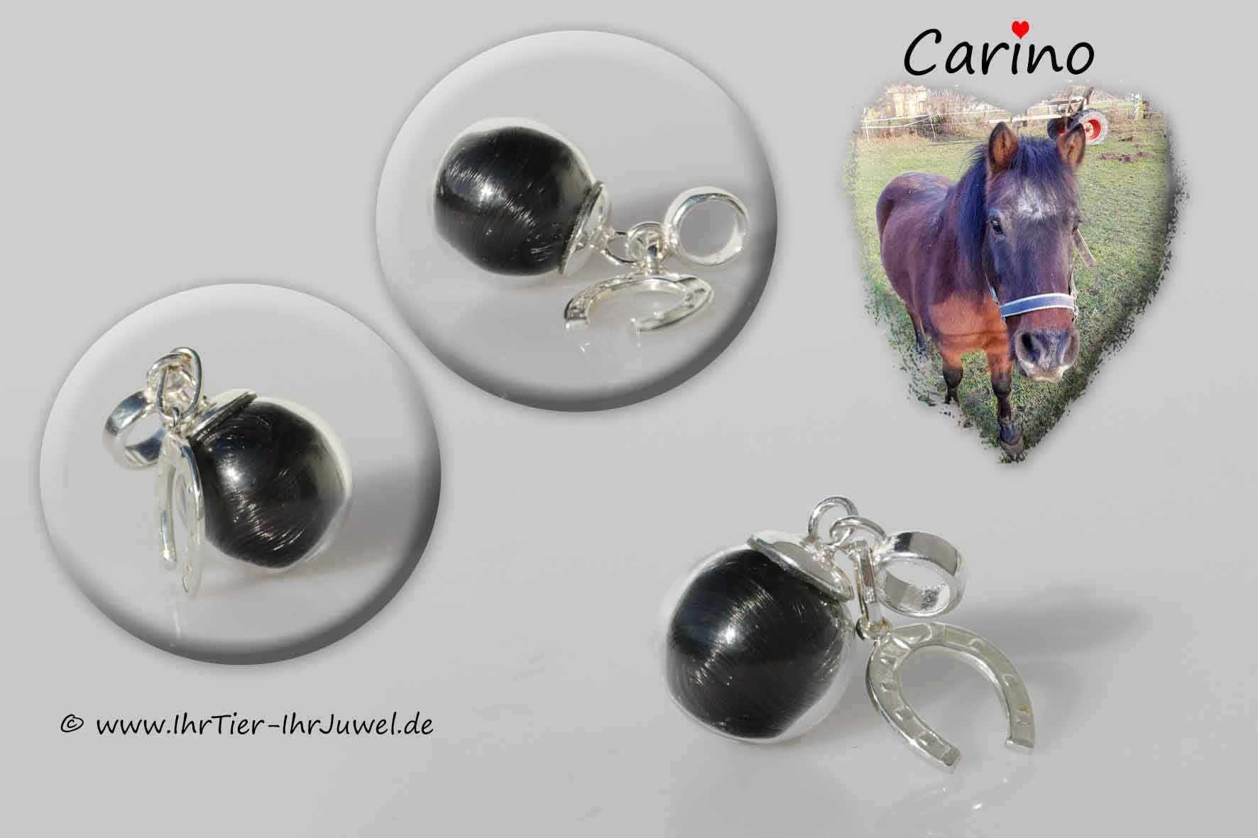 Schmuck mit Pferdehaaren Hufeisenschmuck geliebtes Pferd