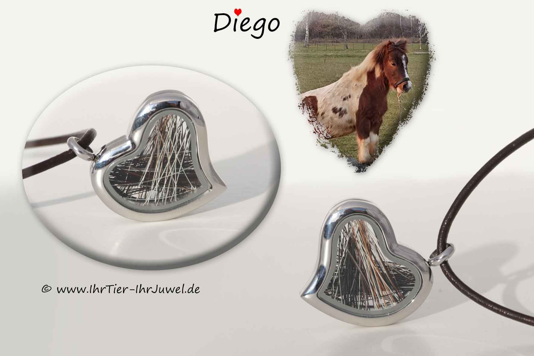 Schmuck mit Pferdehaaren Kette mit Schweifhaar