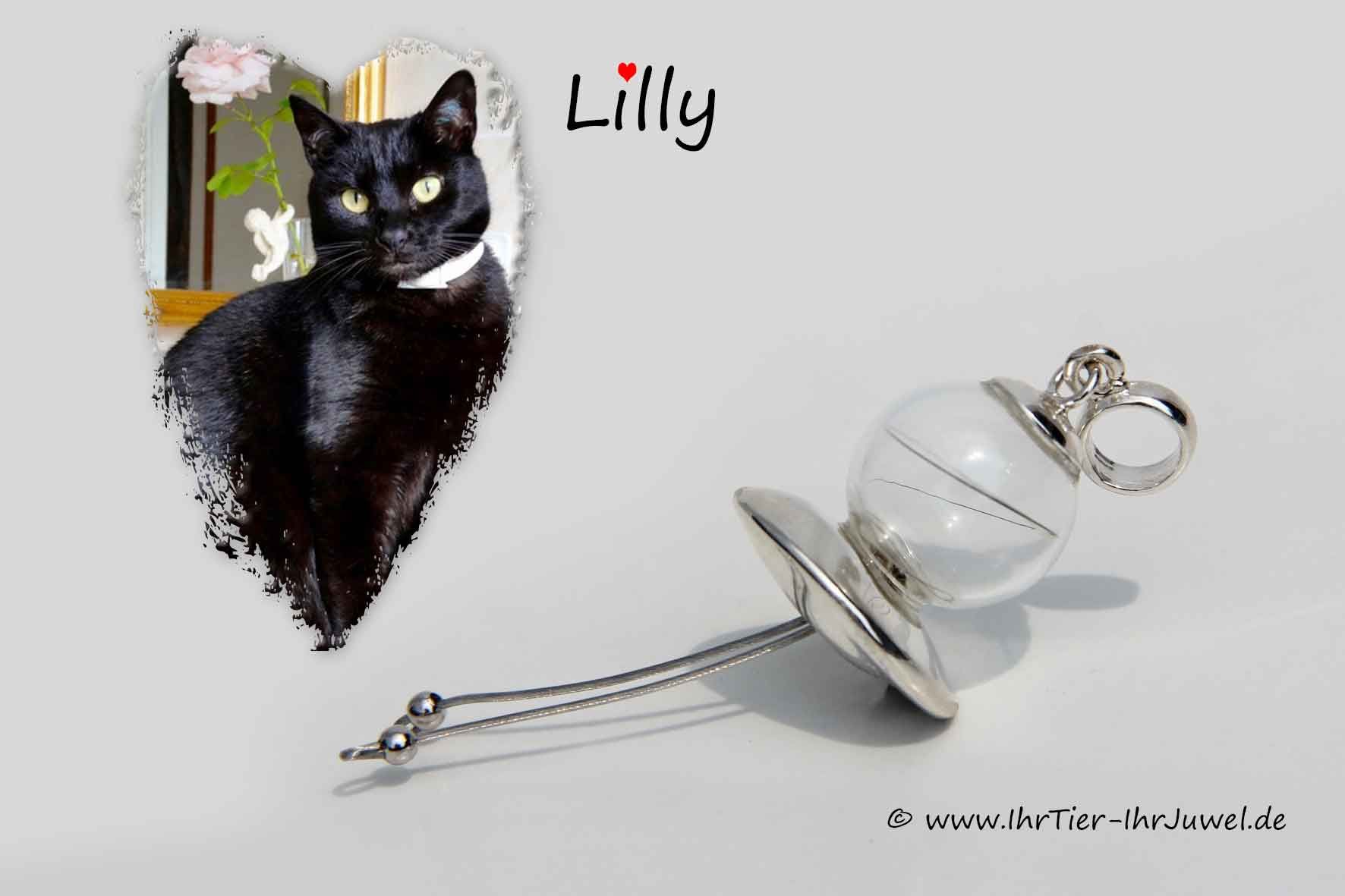 Schmuck mit Schnurrhaaren Glascinderella geliebte Katze