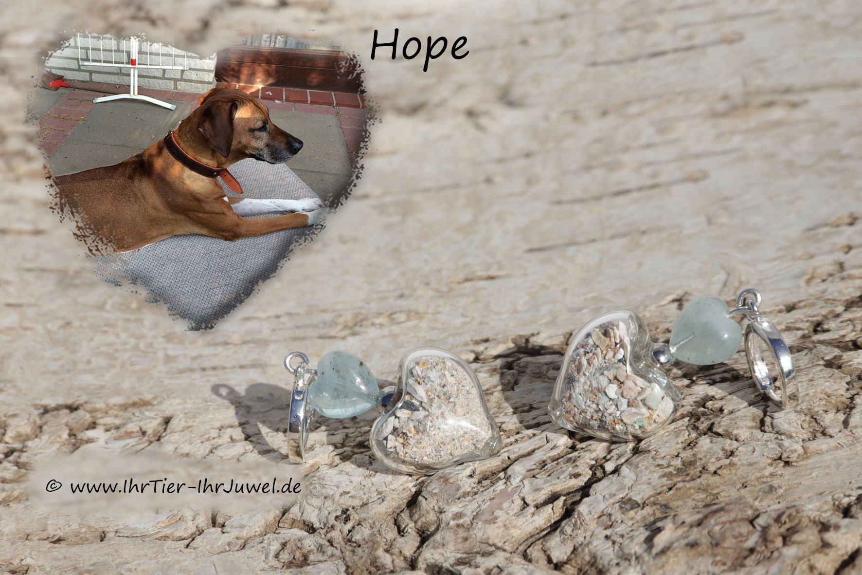 Schmuck mit Tierasche Ohrringe mit Asche