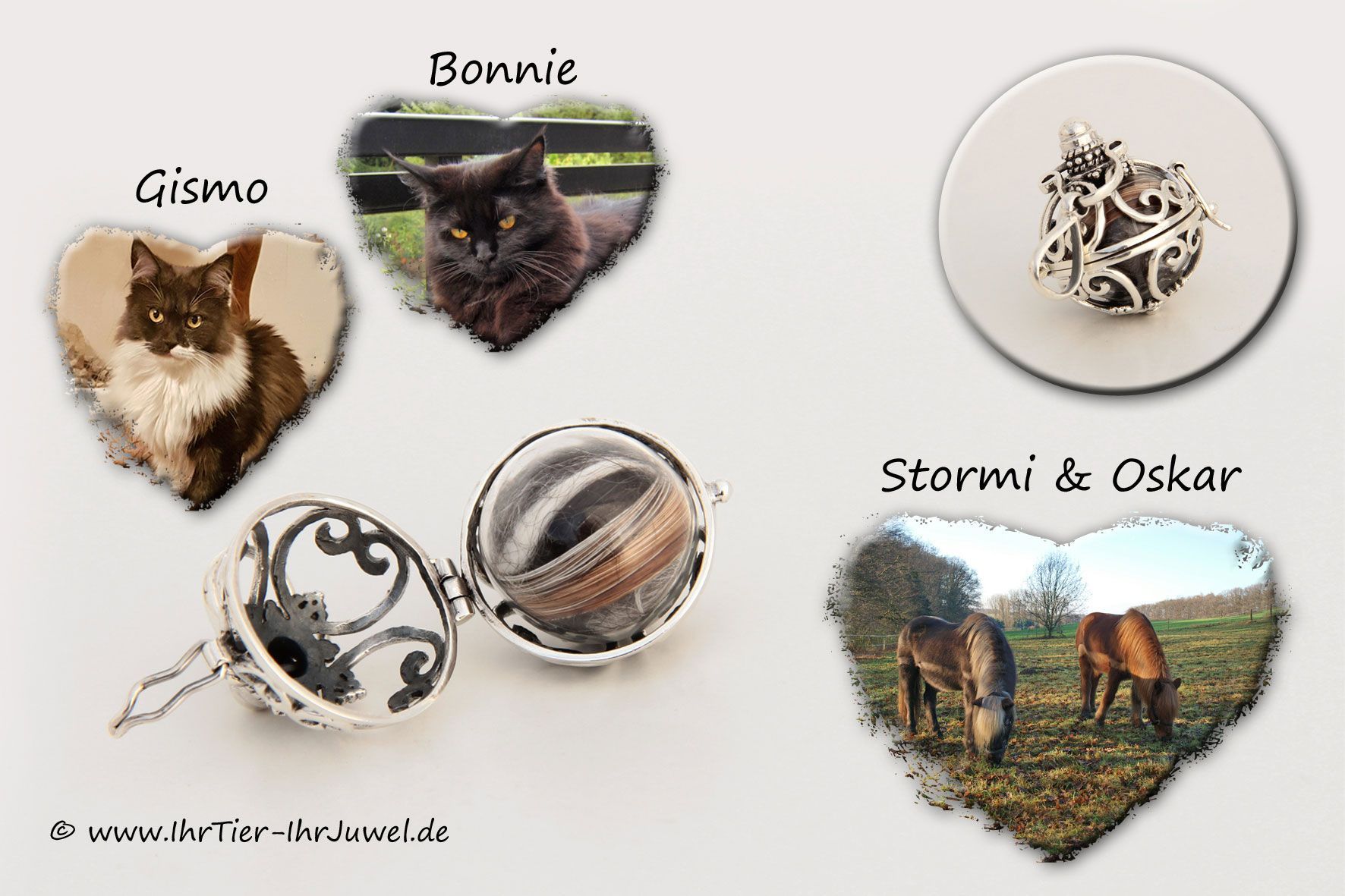 Schmuck mit Tierhaar Engelsflüsterer Katze und Pferd