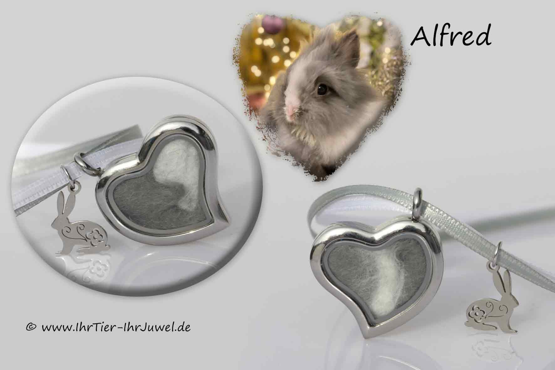 Schmuck mit Tierhaaren Erinnerung an Haustier