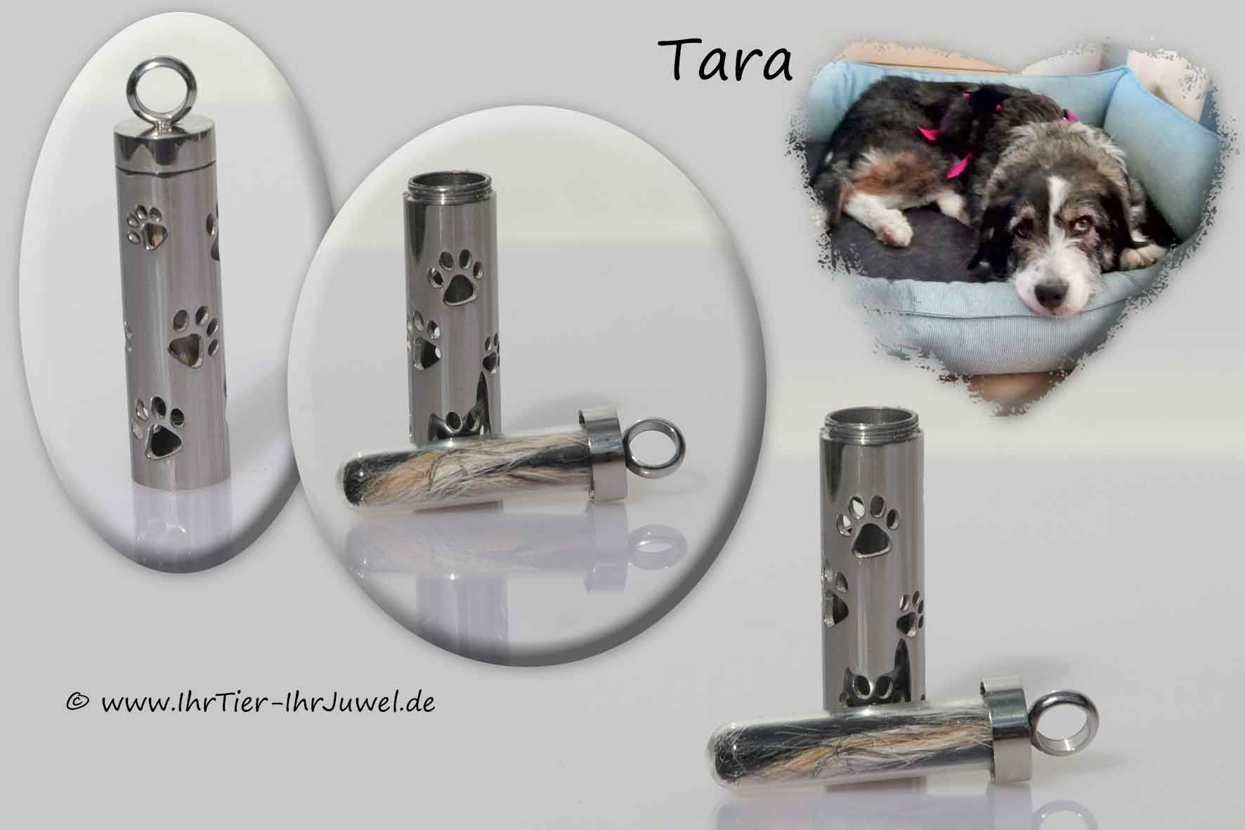 Schmuck mit Tierhaaren Medaillon Hundehaare Pfotenschmuck