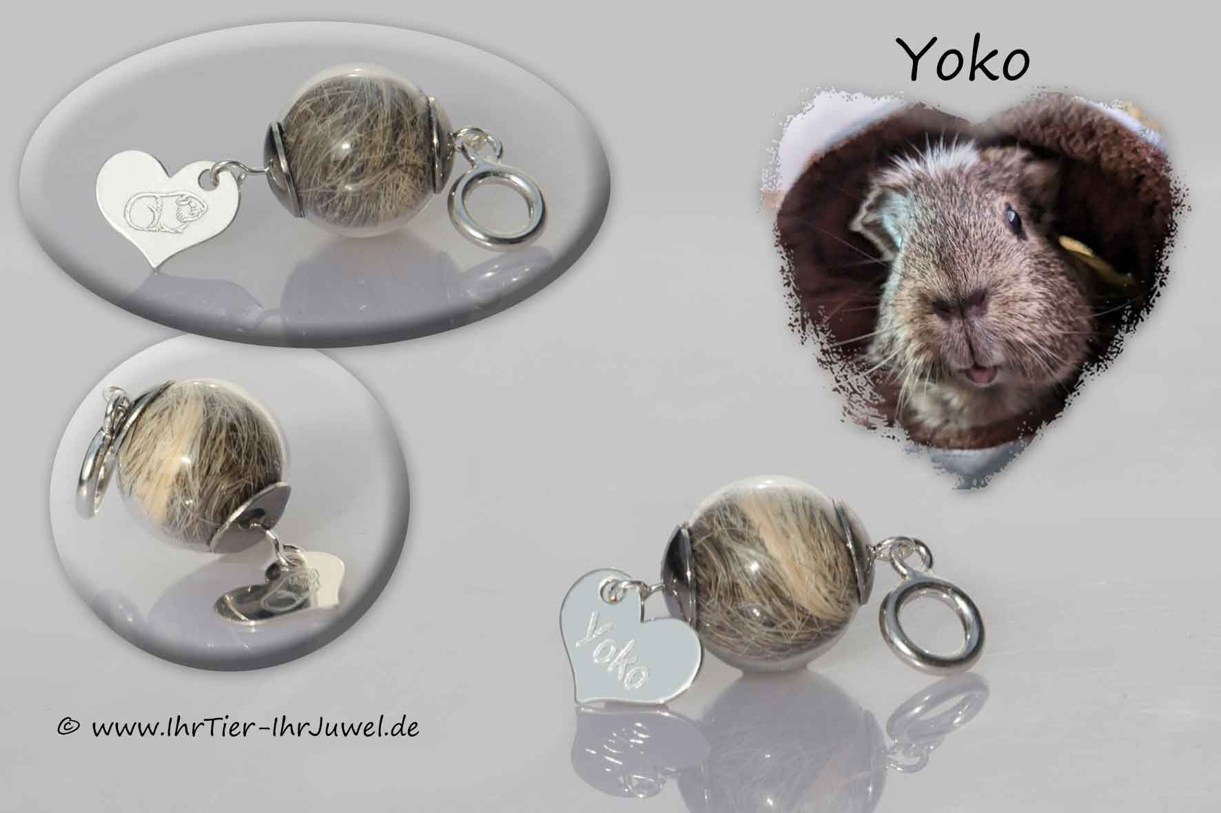 Schmuck mit Tierhaaren geliebtes Meerschweinchen Gravurschmuck