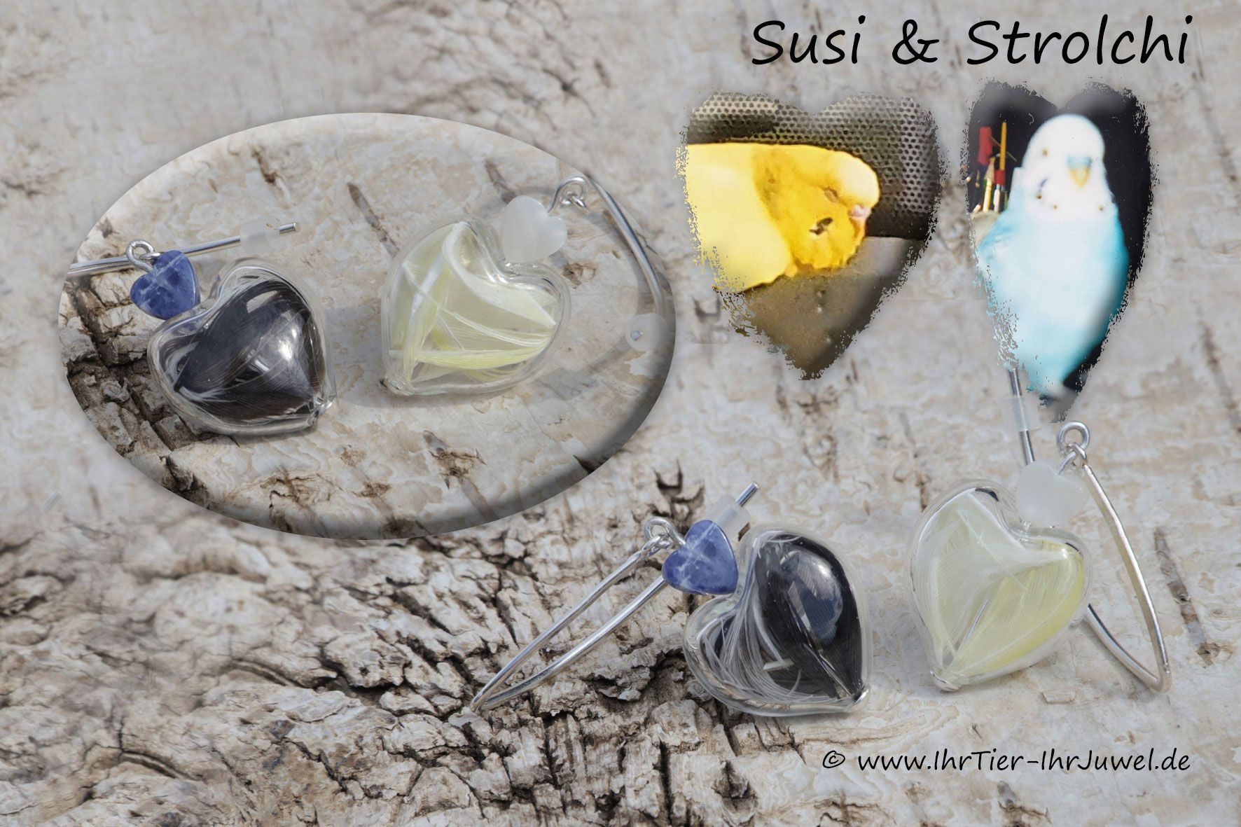 Schmuck mit Vogelfedern Glasherzchen mit Wellensittichfedern