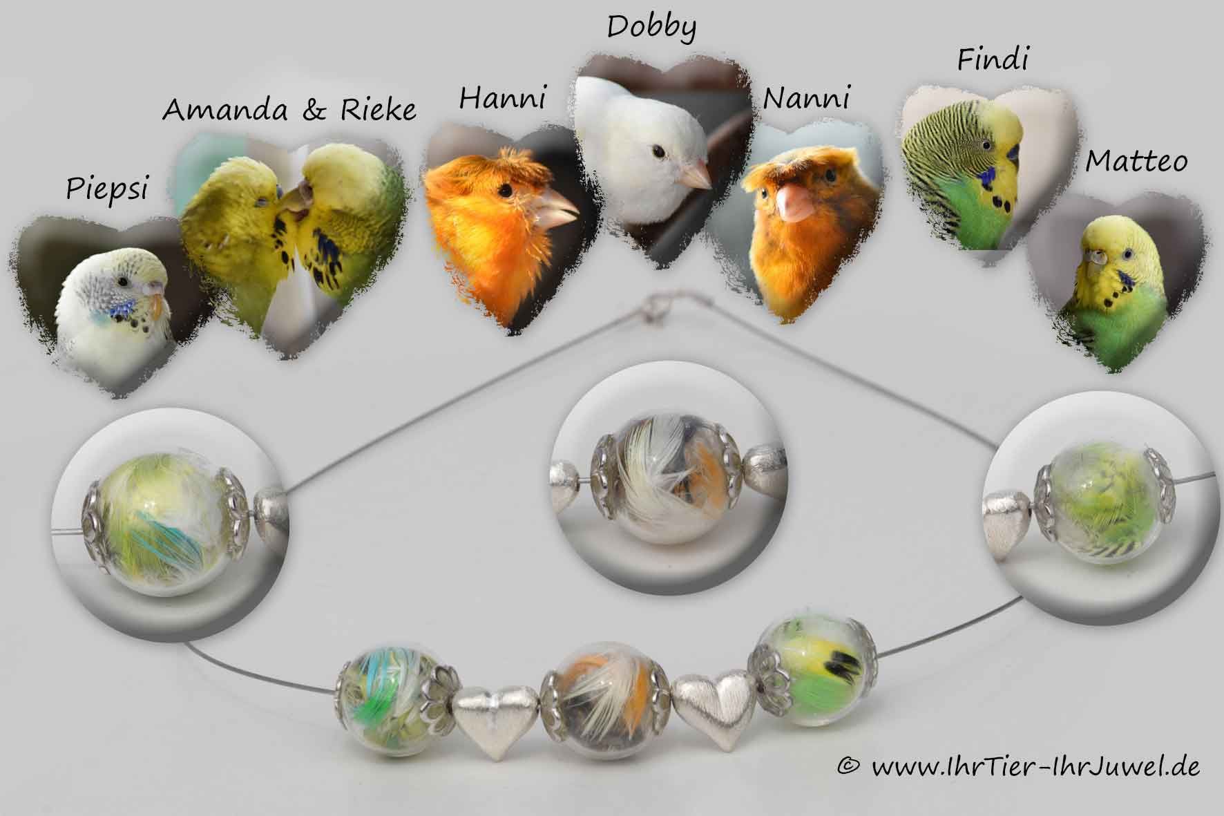 Kette mit Vogelfedern Federnschmuck Wellensittich Kanarienvogel