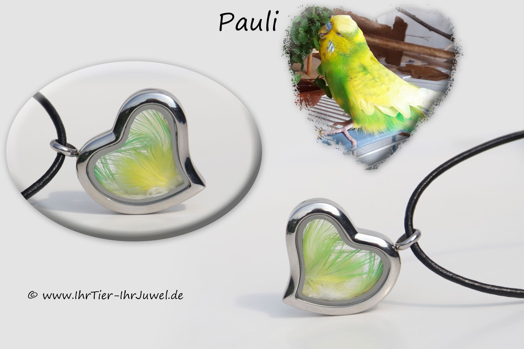 Schmuck mit Vogelfedern Herzmedaillon Federnschmuck Wellensittichschmuck