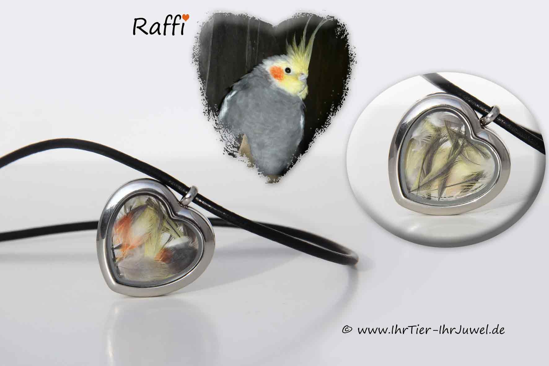 Schmuck mit Vogelfedern Herzmedaillon geliebter Nymphensittich