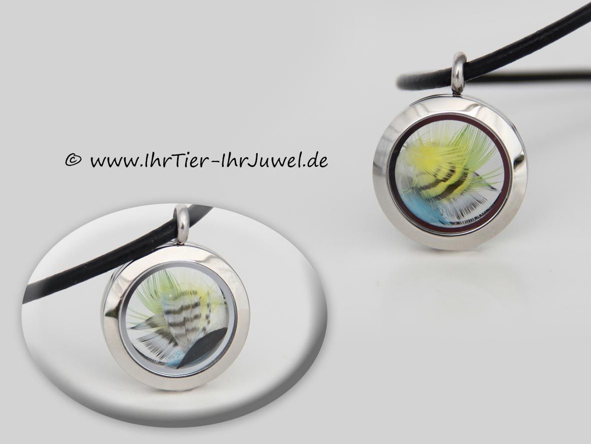 Schmuck mit Vogelfedern Medaillon mit Wellensittichfedern