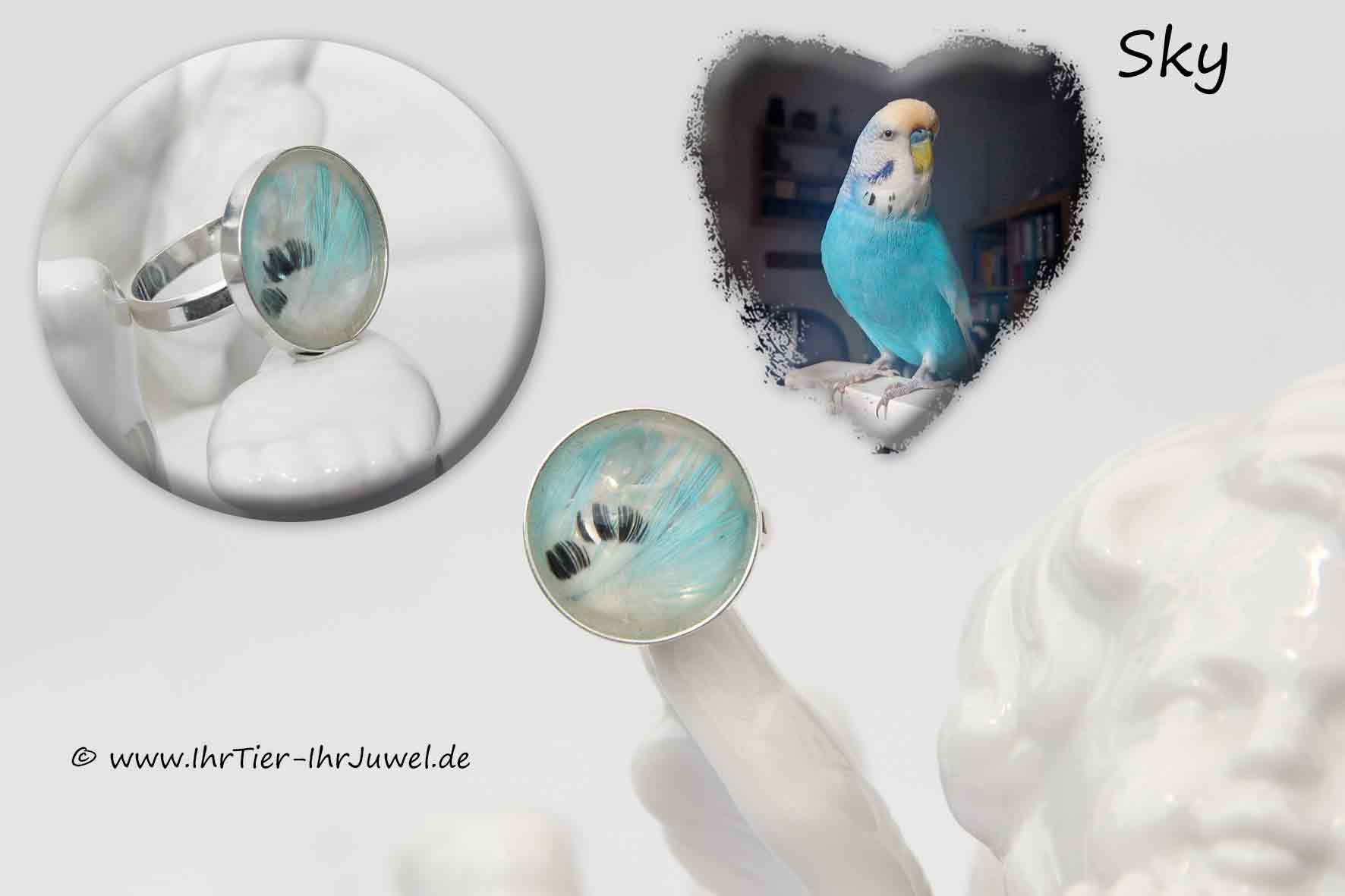 Schmuck mit Vogelfedern Ring geliebter Wellensittich