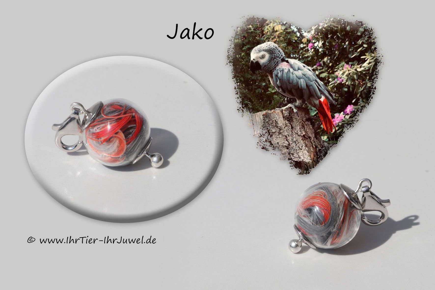 Schmuck mit Vogelfedern Schmuckfeder Erinnerungsschmuck Papageienfedern