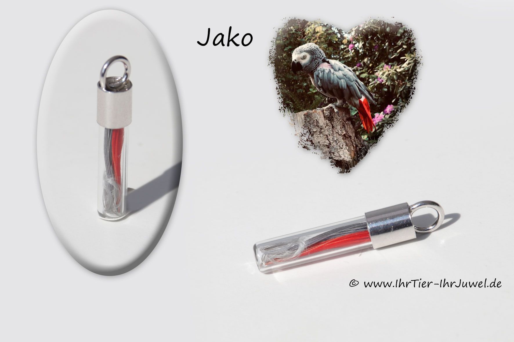 Schmuck mit Vogelfedern Schmuckfeder Erinnerungsschmuck Tierjuwel