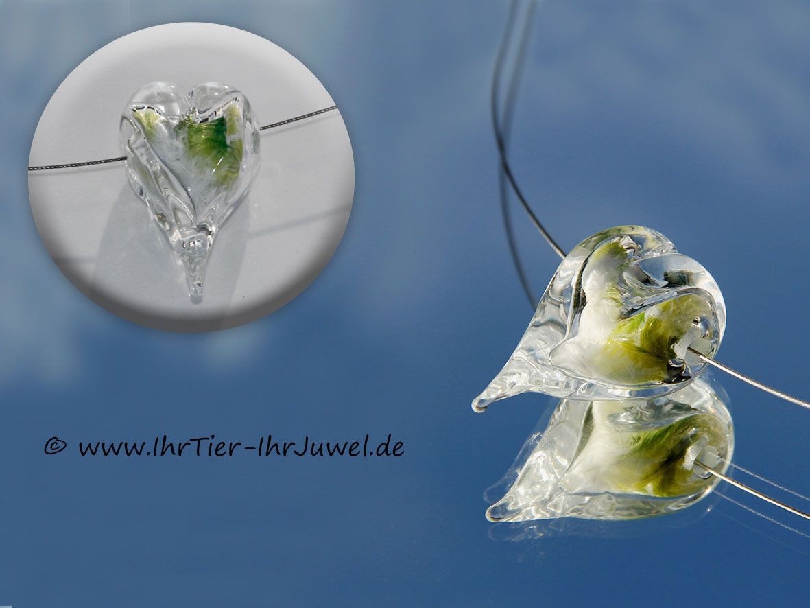 Schmuck für Tierliebhaber Federnschmuck Erinnerungsschmuck Vogelfreund