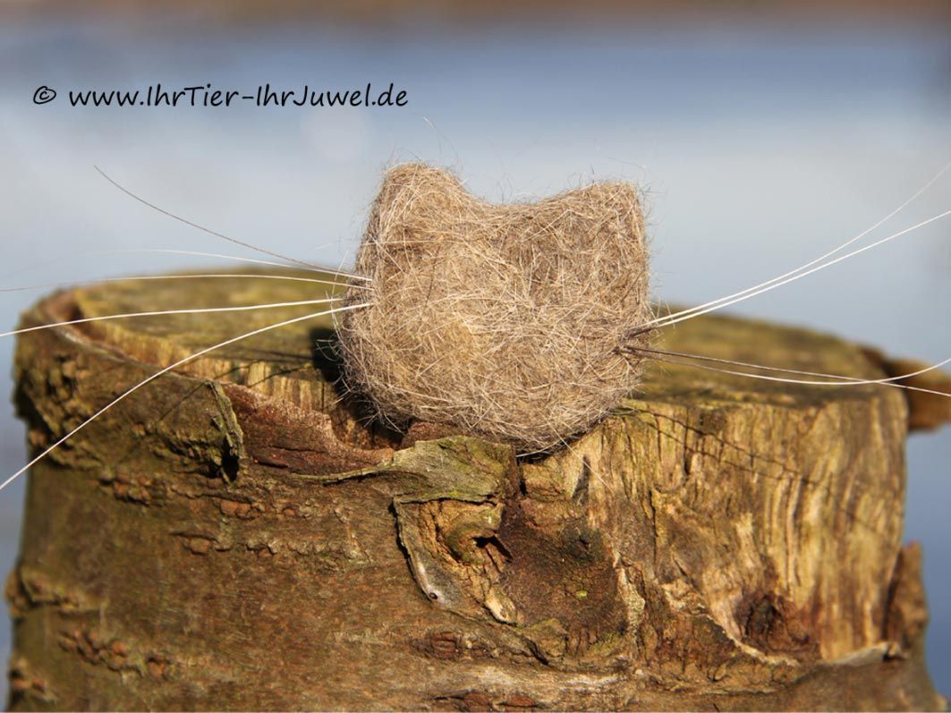 Tierhaarkunst Brosche aus Katzenhaaren und Schnurrhaaren