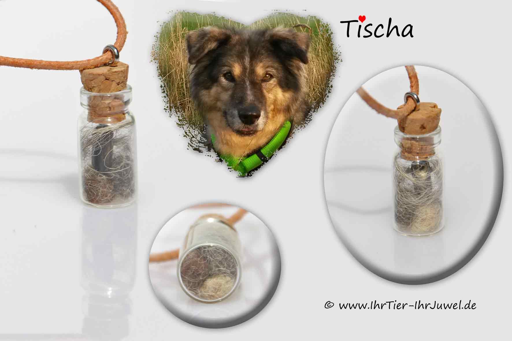 Tierhaarschmuck Anhänger Hundehaar Schmuck aus Krallen