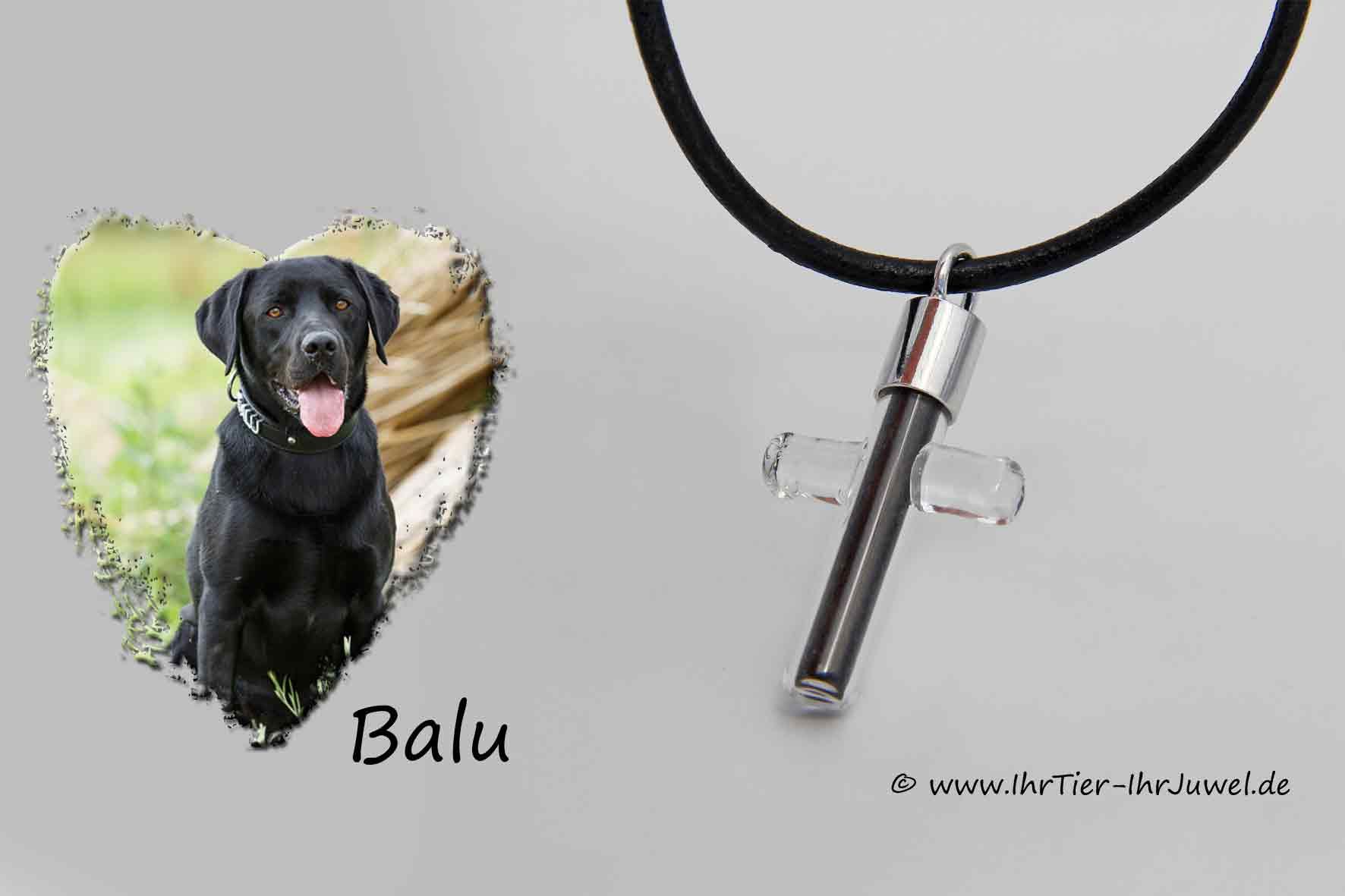 Tierhaarschmuck Erinnerung an verstobenen Hund Kreuzschmuck